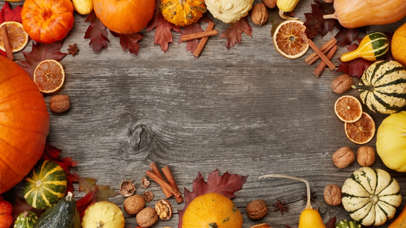 Read more about the article Tis the Season for Thankfulness!