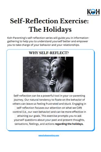 Self-reflection Excerise 1: The Holidays