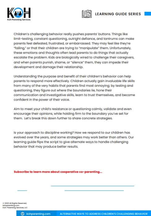 flipping the script preview 2